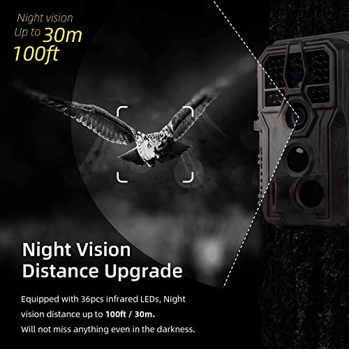 Trail Camera - 24 megapixel