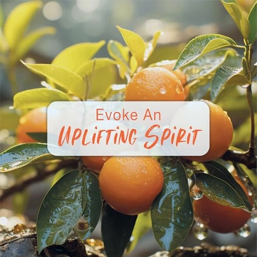 Te Amo Breeze Eau de Toilette 120ml