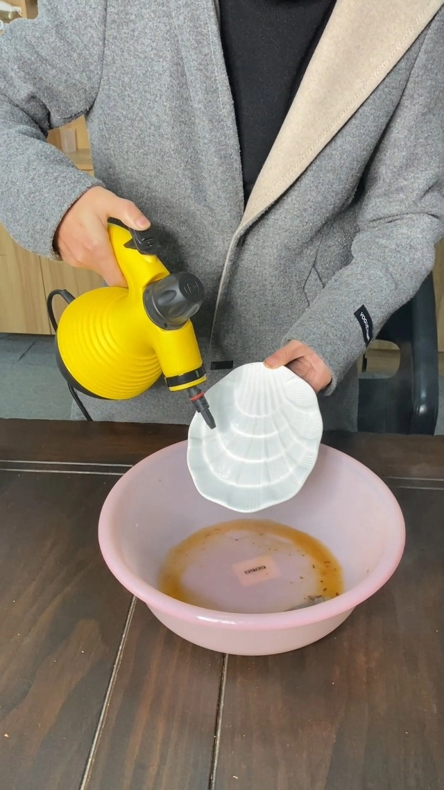 Steam Cleaner - 6 oz.