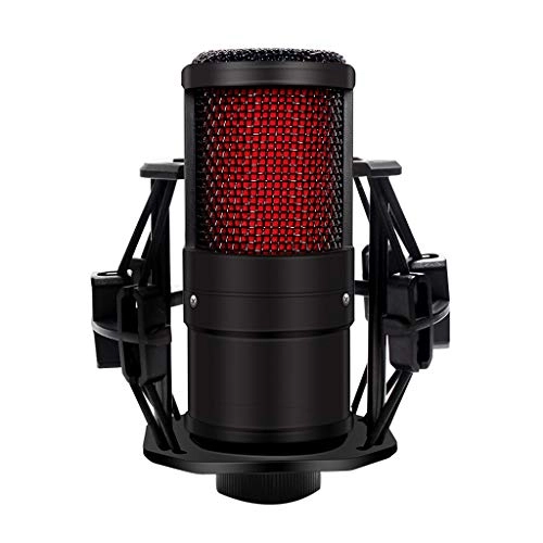 ss1/i47612 USB+3.5mm-Mini-Jack Microphone
