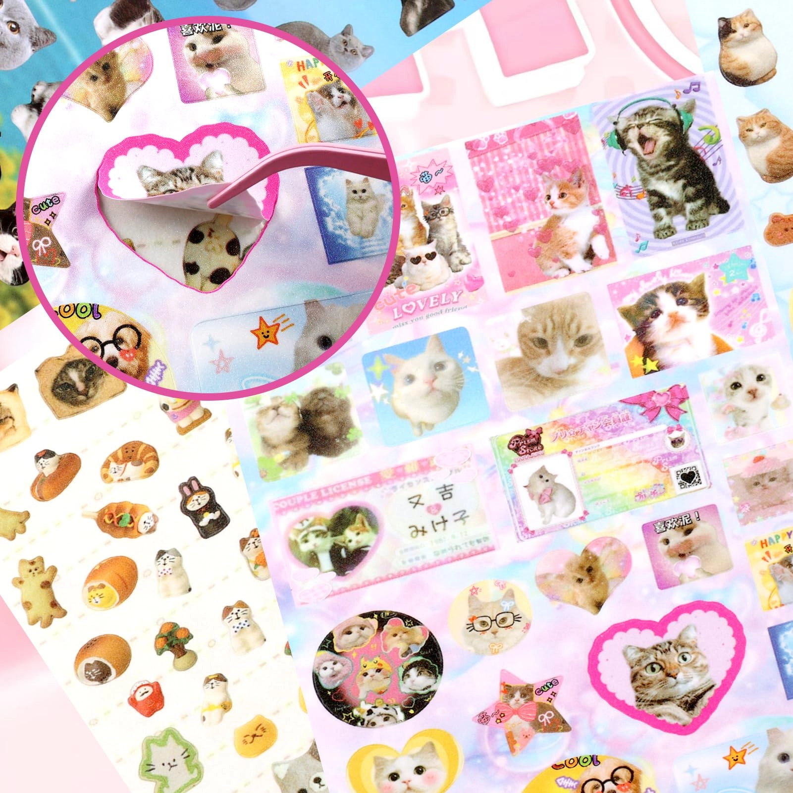 Cat Sticker Book 800 pcs