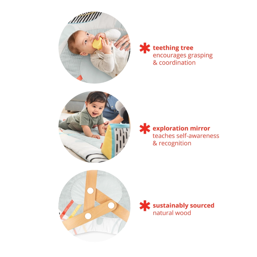 Discoverosity Activity Gym - Suitable for 0 month & above