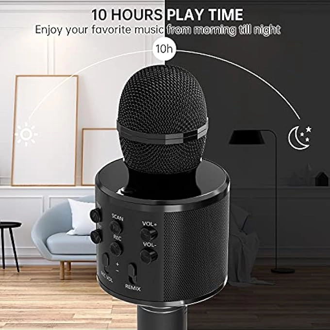 rayihni Karaoke Microphone Pack