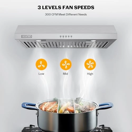Ductless/Ducted Range Hood - 300 CFM 30 Inch