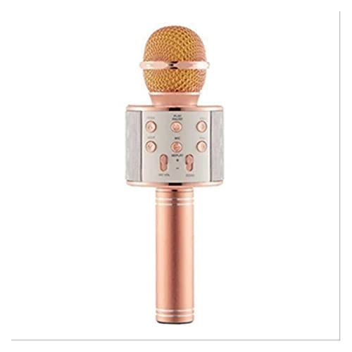 WS 858 Wireless+USB Microphone