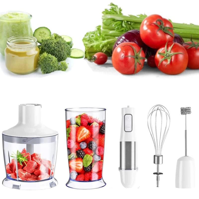 WZDBE Immersion Hand Blender - 500W