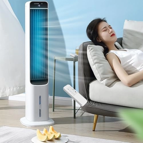 Portable Air Conditioner - 100W