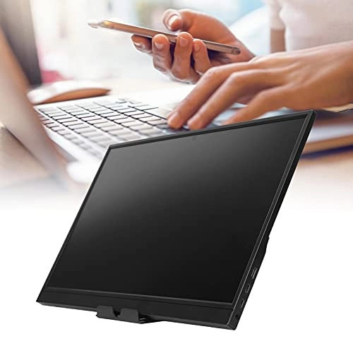 External Display - 17.3 Inches 1600 x 900