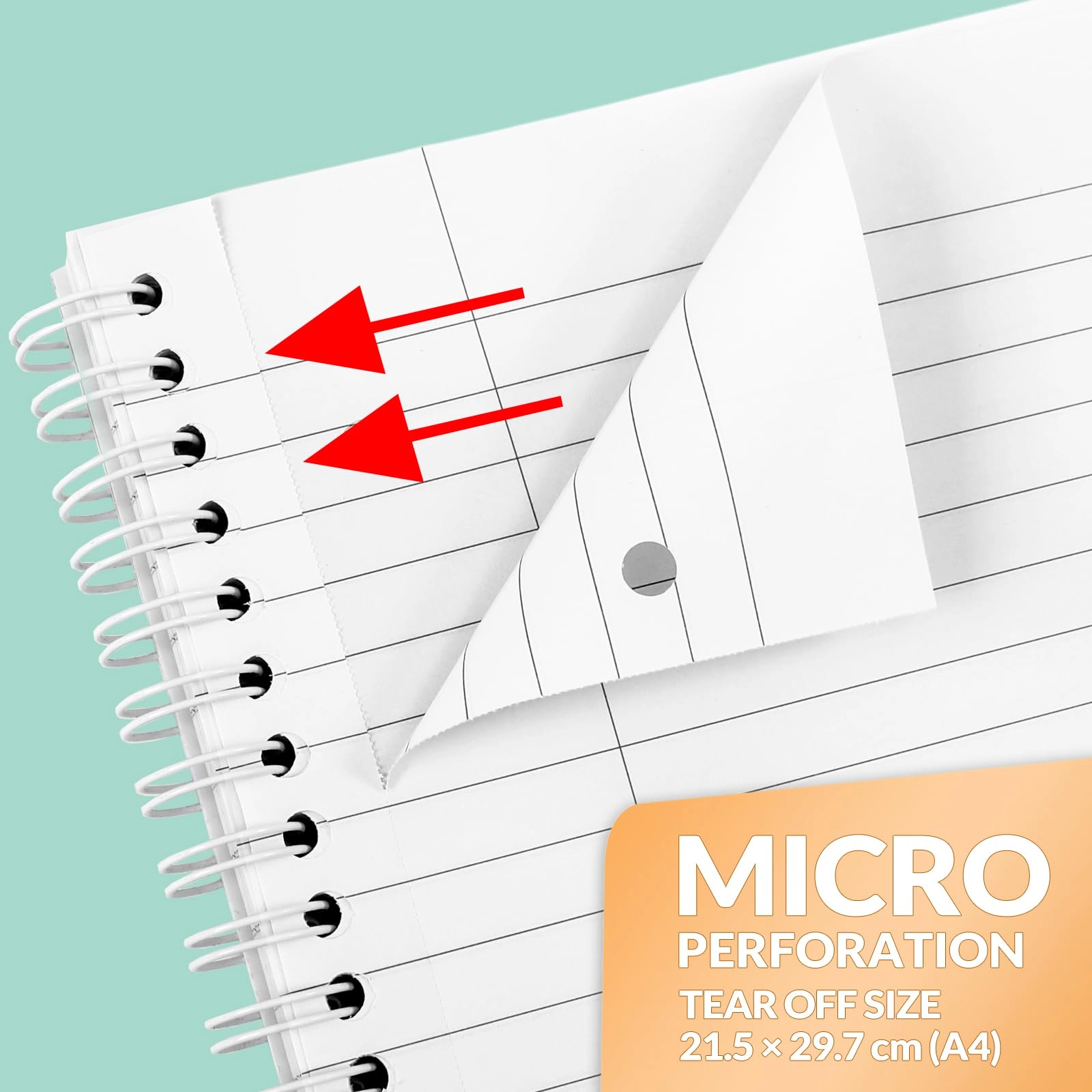 Notebook A4 Spiral - Lined 100 Sheets