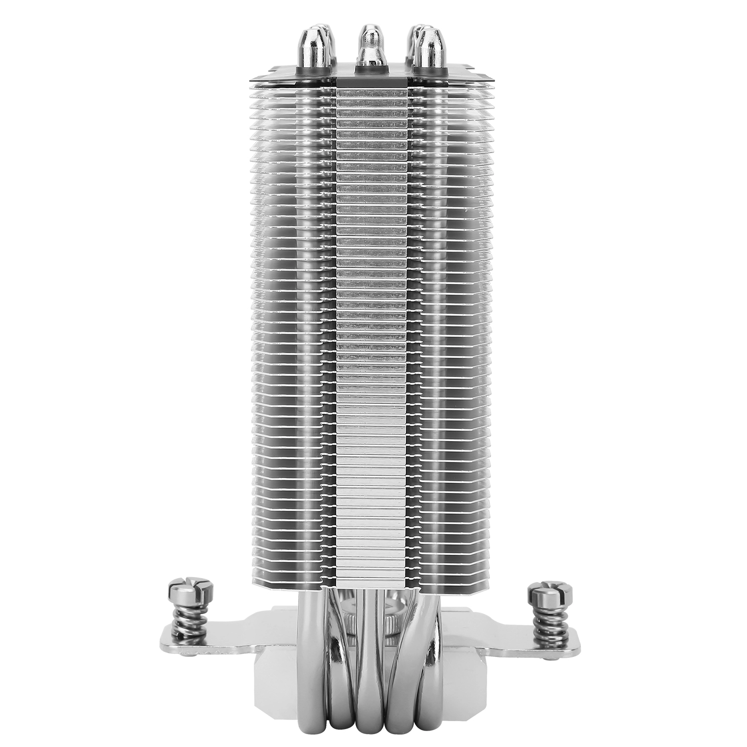 Assassin King 120 SE