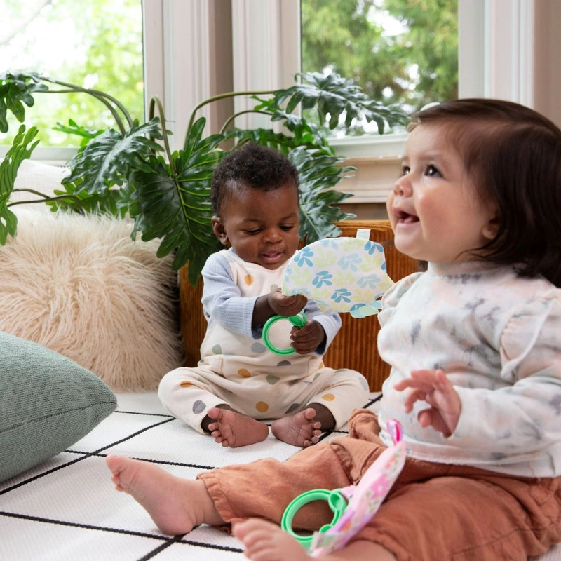 Raccoon Crinkle Toy - 0 month soft fabrics Deni