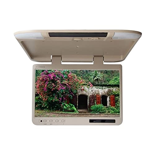 Car Headrest Video Players - 19 Inch