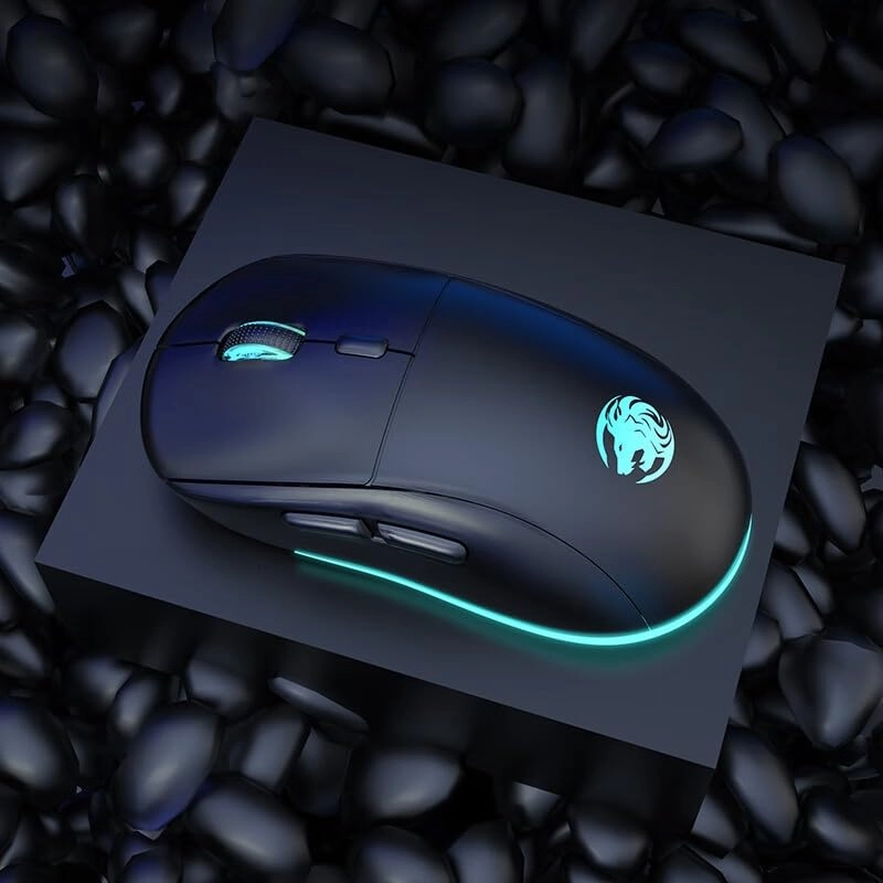 G301 - Bluetooth 2.4G