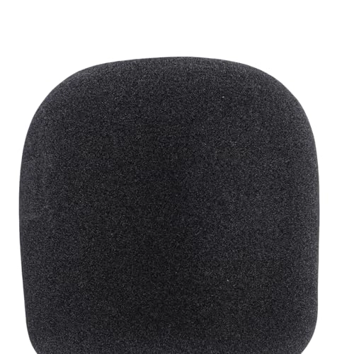 Wireless Microphone - 1 10W