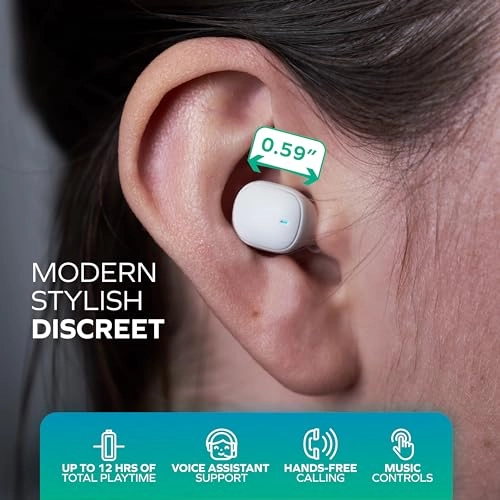 Mini True Wireless Earbuds