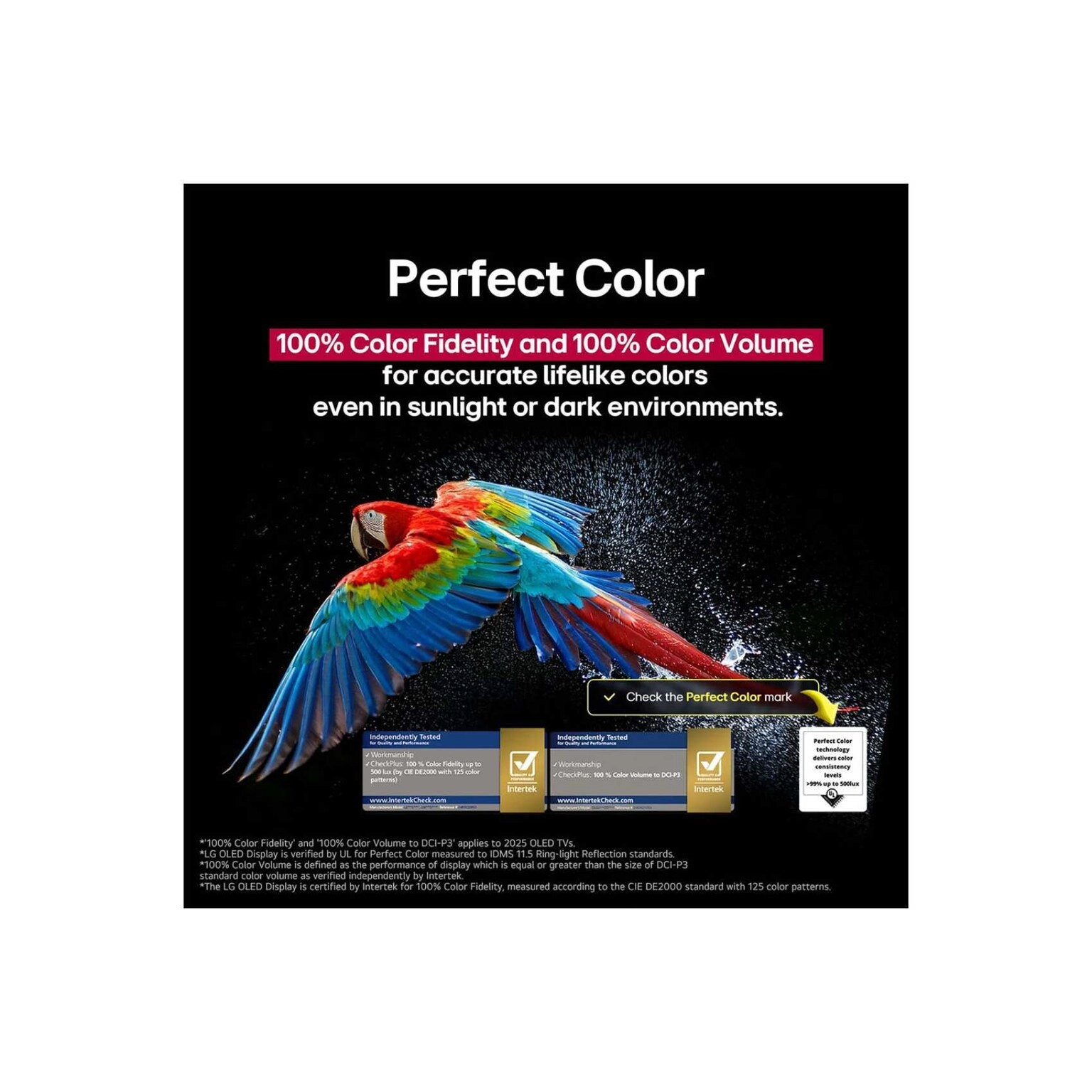 OLED55C56LA-AMAG - 55 in