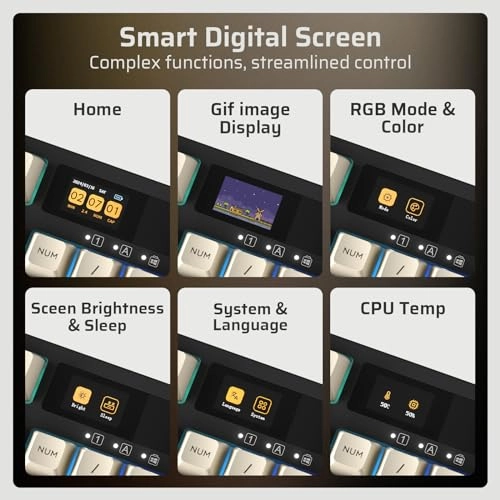 NB1041 PRO - Wired/Wireless