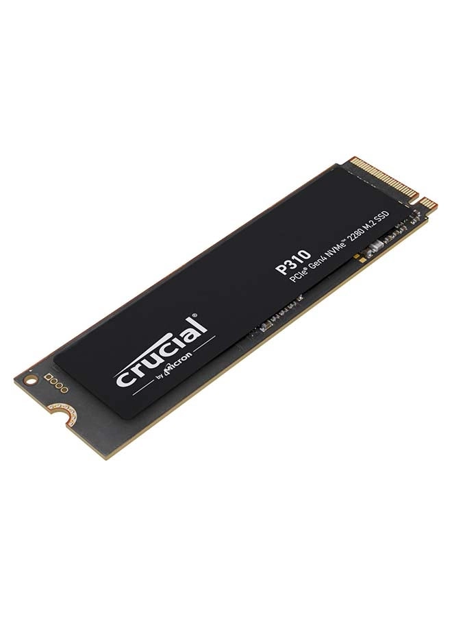 P310 - 2TB M.2