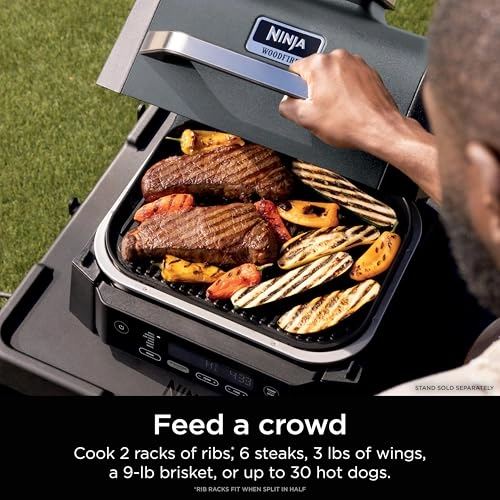 Woodfire Outdoor Grill & Smoker - Electric