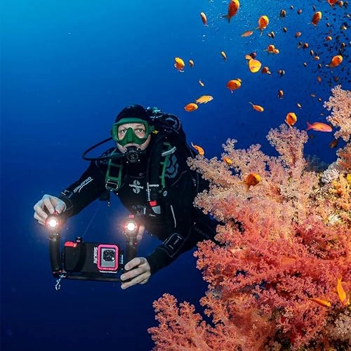 3000 Color Boost - 120deg + Flex-Connect Ultra Dual Tray