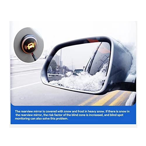 Blind Spot Detection System