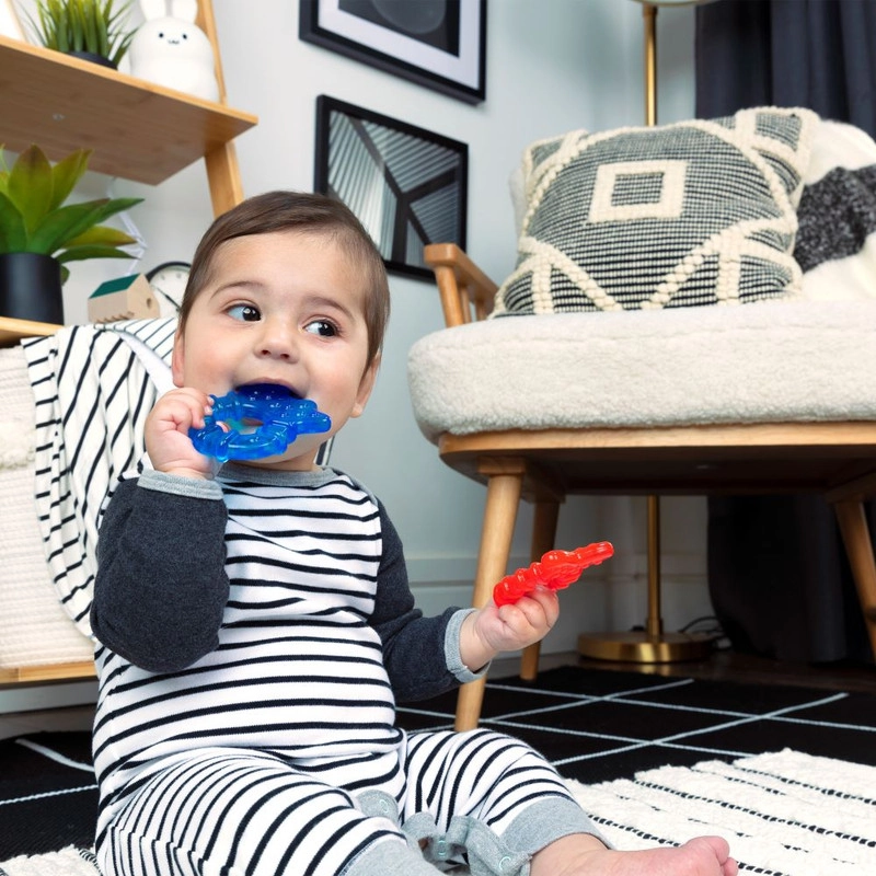 Cool Critters Teether Toy Set