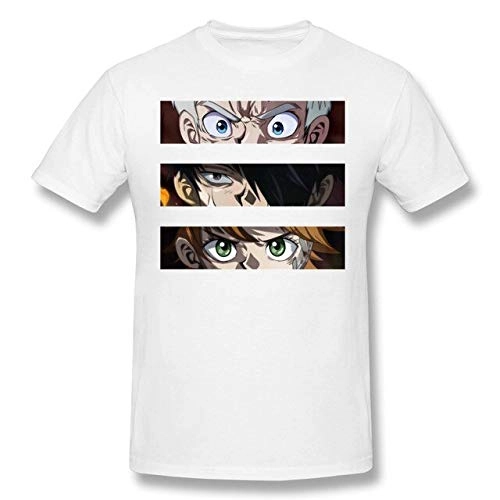 Light Emitting Diode Strip