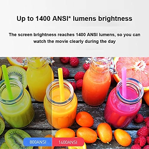 7467834 2500ANSI Lumen