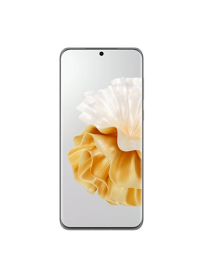 P60 Pro - 12GB 512GB