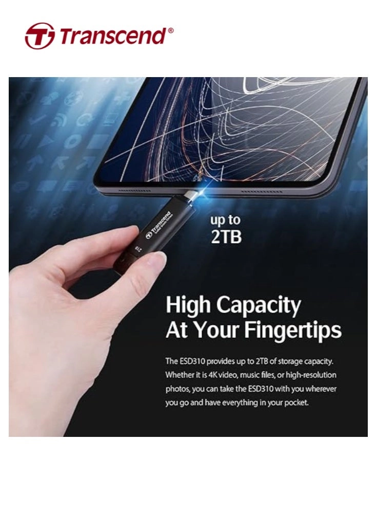 ESD310 - 2 TB