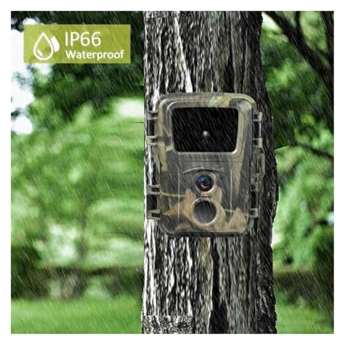 Wildlife Camera - 20MP