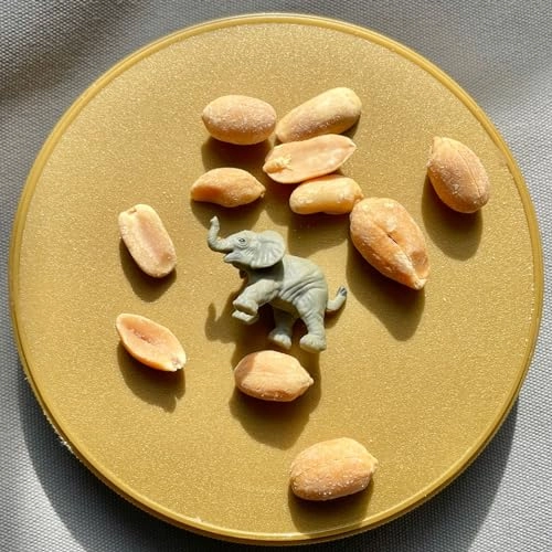 Good Luck Minis Desert Fun Pack 8 pcs