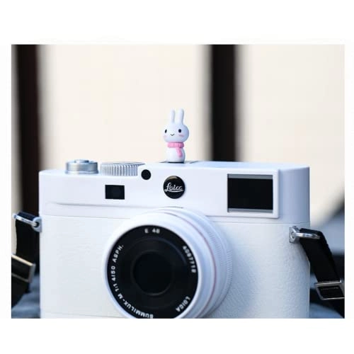 Camera Hot Boots - Leica Olympus Pentax SONY Fuji Nikon Panasonic Canon Rabbit