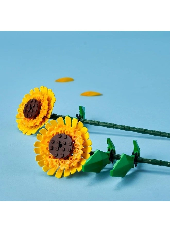 Sunflowers (40524)