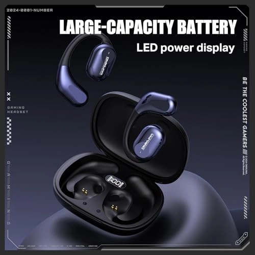 EBT209 Wireless Earbud