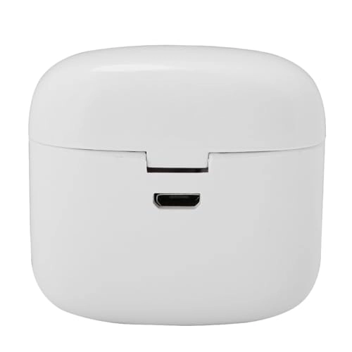 LB4-387 Wireless Earbud