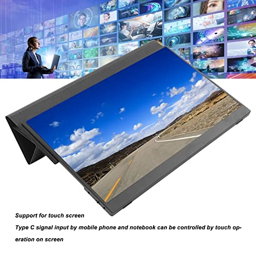 PM 1731M - 1920x1080P 17.3 Inch