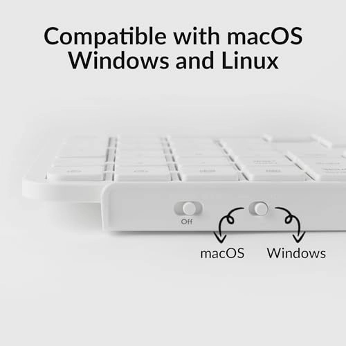 B6 Pro - AR/EN Wired/Wireless