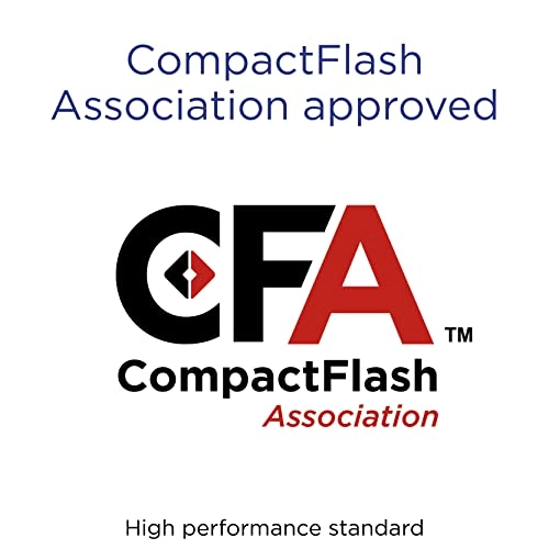 Compact Flash Card - 4GB