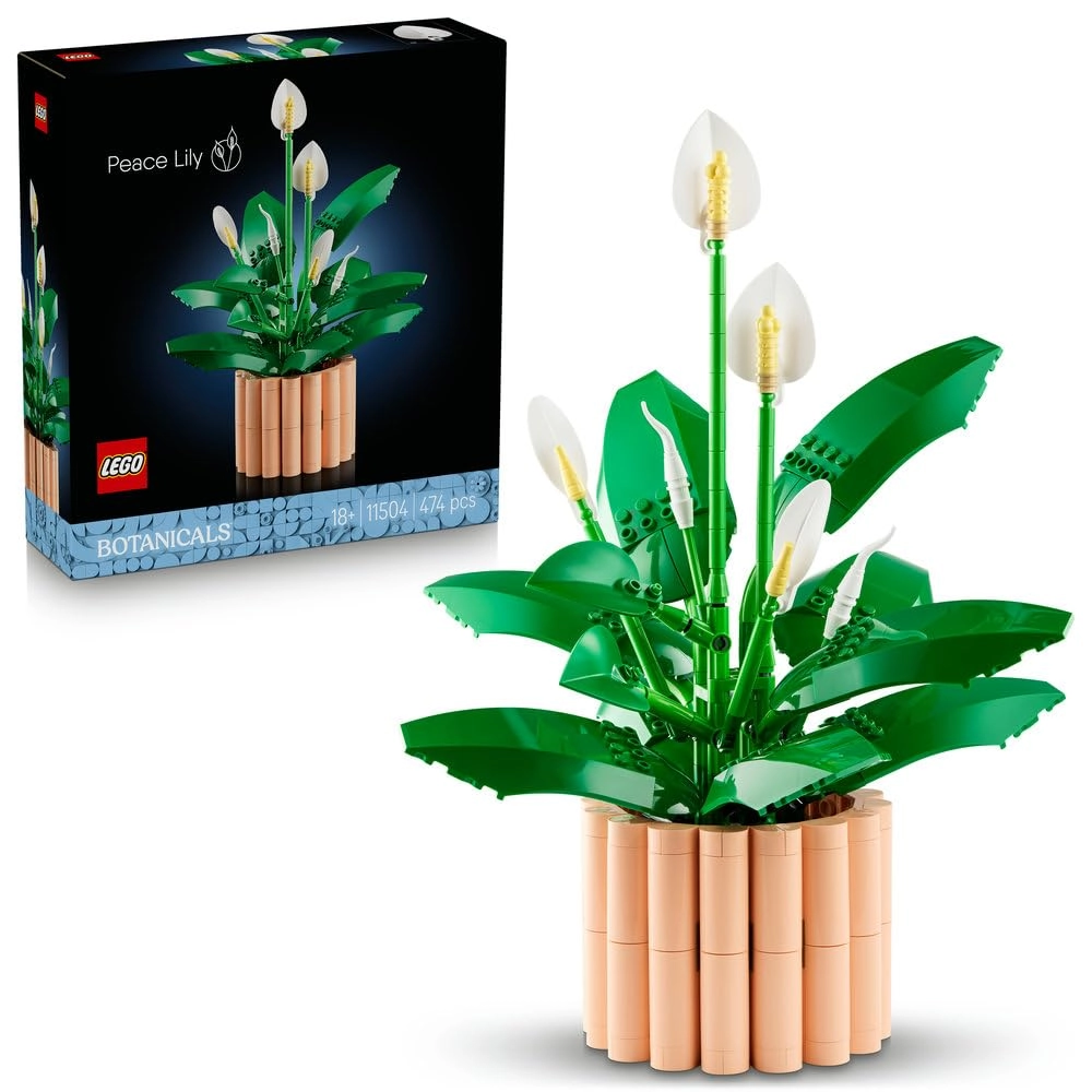 Peace Lily (11504)