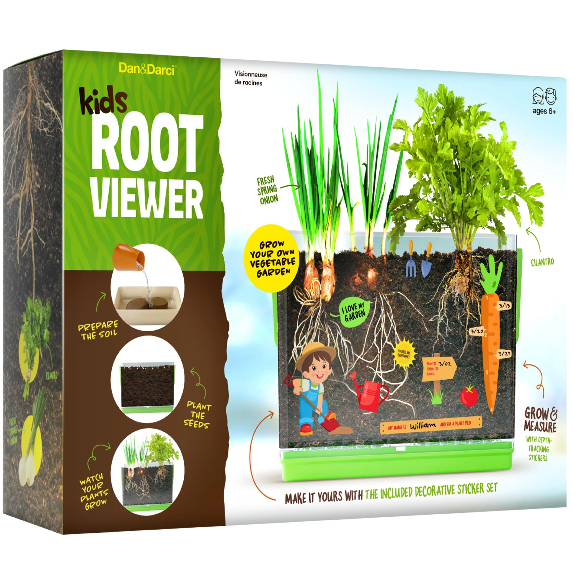 Dan&Darci Root Viewer - Biology Plant Science