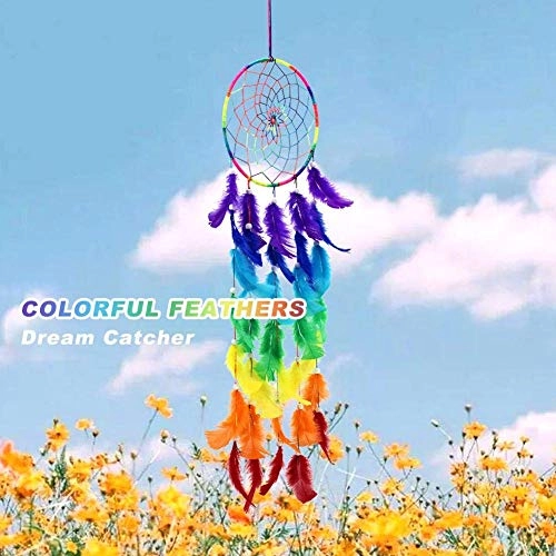 Dreamcatcher - Siderosphere, feathers, lines, wood beads.