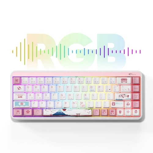 JIN01 - Wired/Wireless