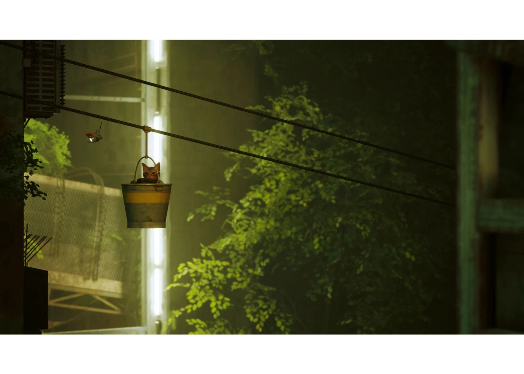 Stray - PlayStation 5