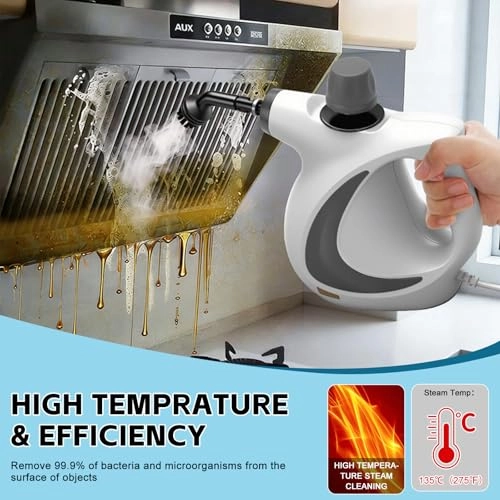 Dampfreiniger - 3.2 Bar 350 ml