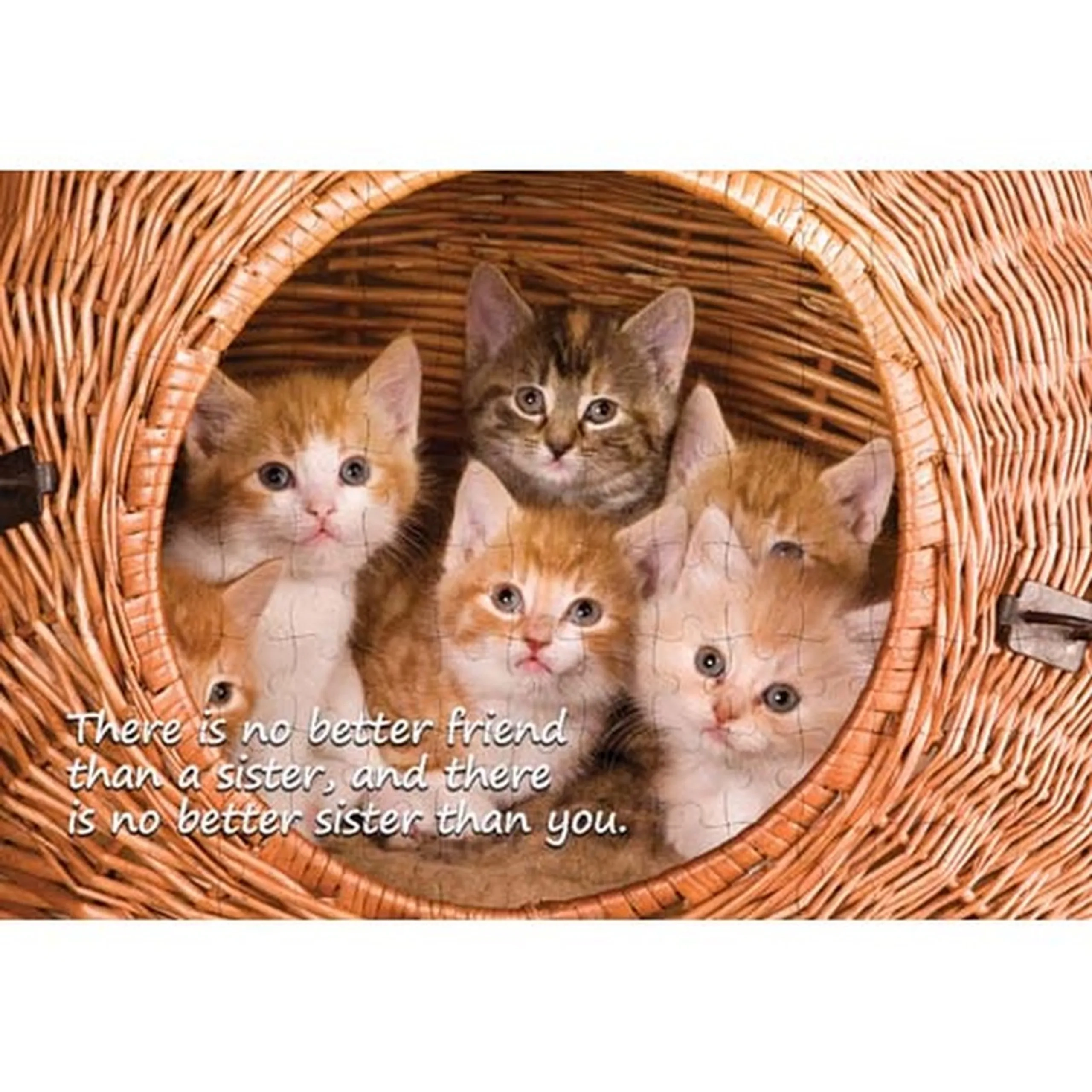 Ajooba Dubai Sister Love Puzzle (2339)
