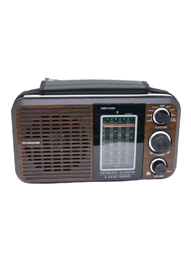 FM/AM/SW Radio & Music Player - Portable
