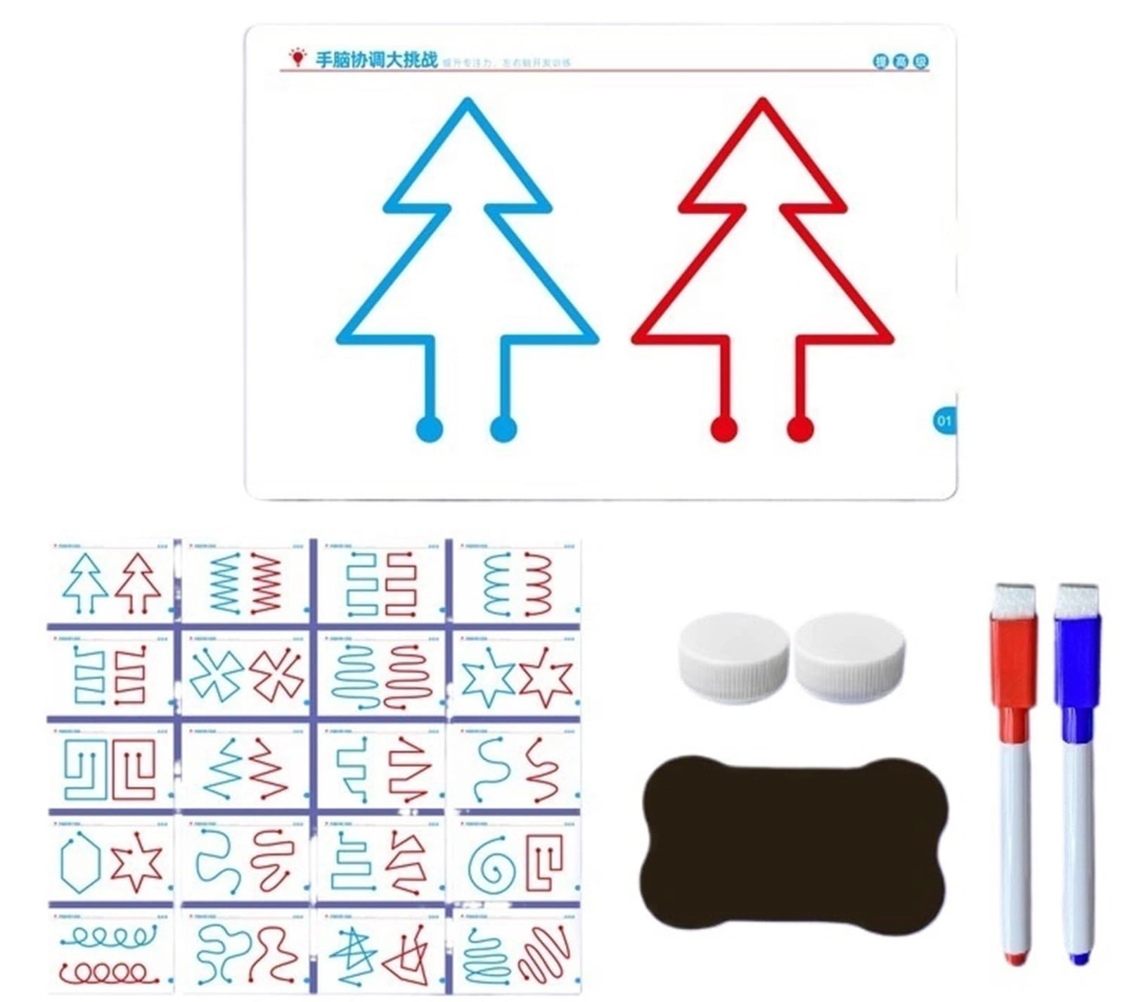 SHANGYOUDZSWD Left & Right Brain Development Card - Adult 20 pieces