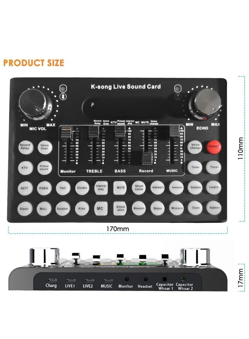 Sound Card V8 USB Microphone