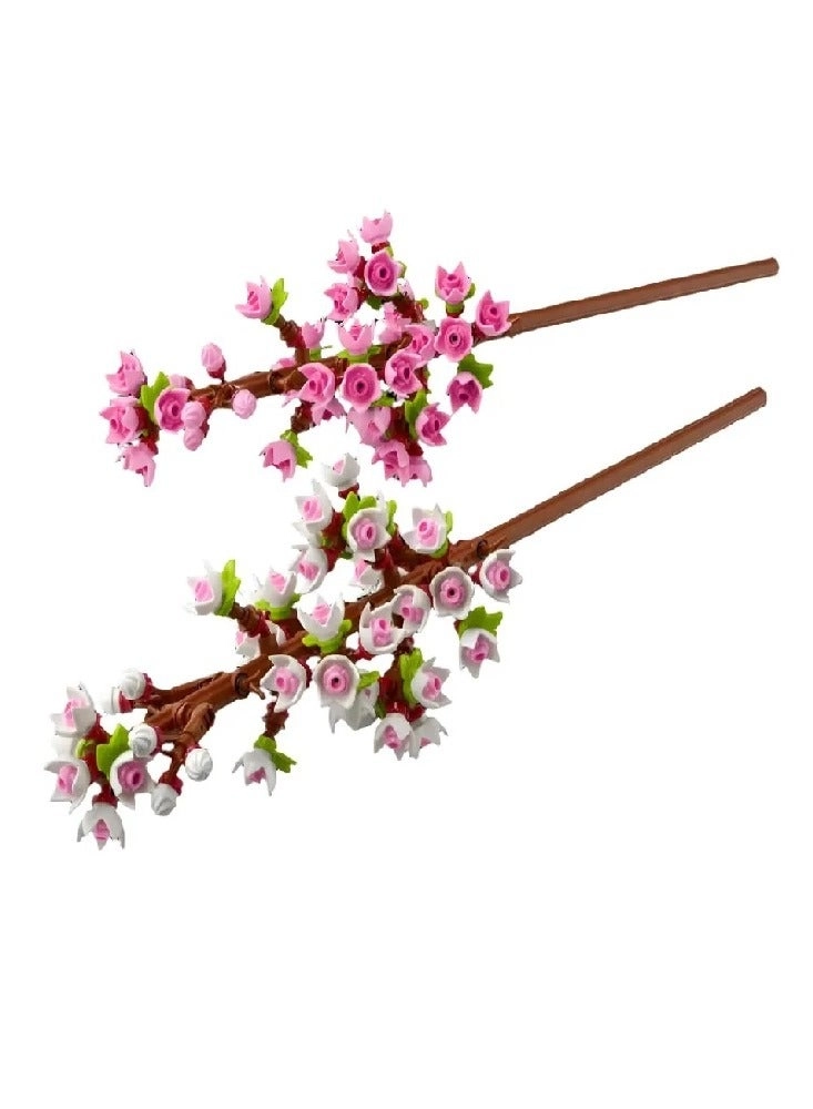 Cherry Blossoms Celebration Gift (40725) - Flowers